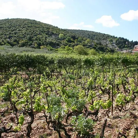 Marija Apartamento *